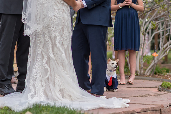 Martinez_2019_05_11-0446