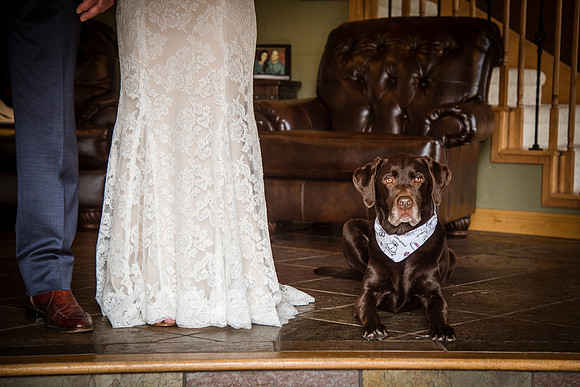 Colorado Mountain Wedding