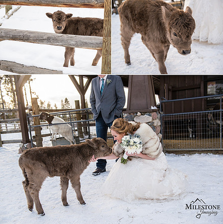 Winter Wedding Blog 9