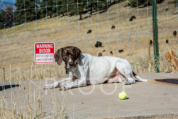 August_2017_10_04-0020