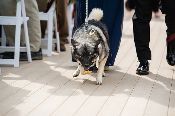 Dondelinger_2017_08_05-0436