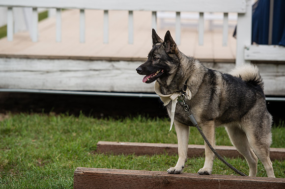 Dondelinger_2017_08_05-0589