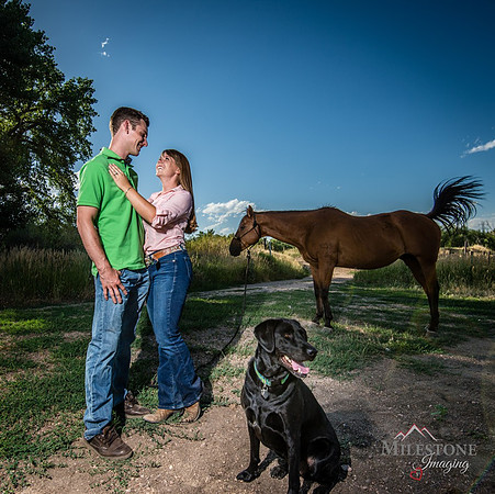 Engagement Locations Blog Update 2