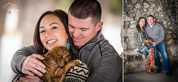 Dog Blog Collage 1