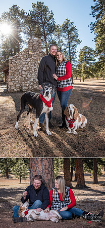 Dog Blog Collage 8