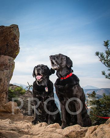 magrover_2018_09_26-0032
