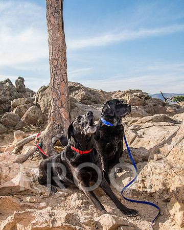 magrover_2018_09_26-0049