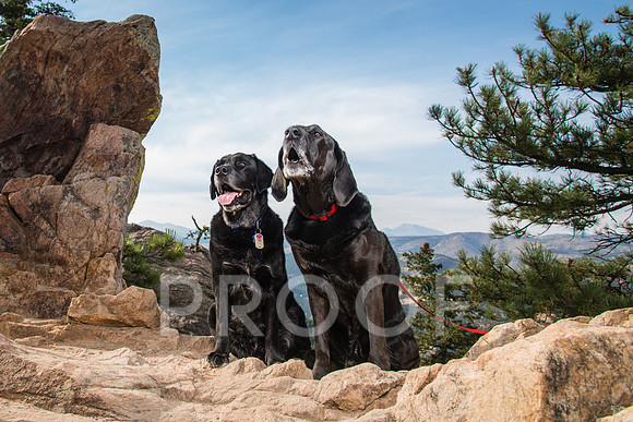 magrover_2018_09_26-0031