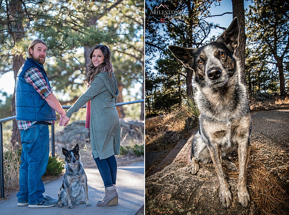 Engagement Sessions with Dogs 1