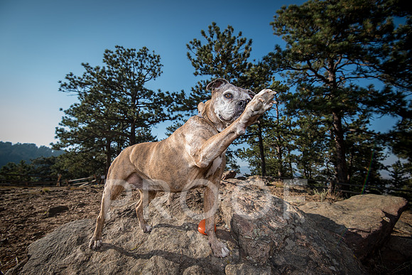 Bruskivage_2019_10_03-0005