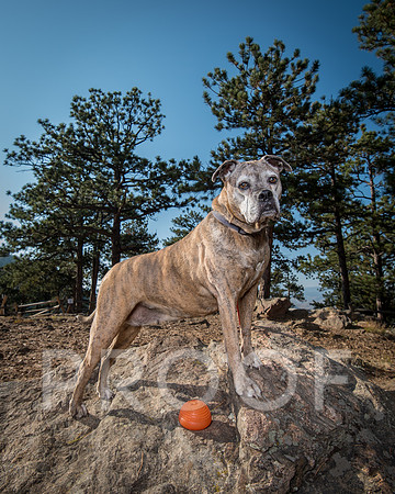 Bruskivage_2019_10_03-0007