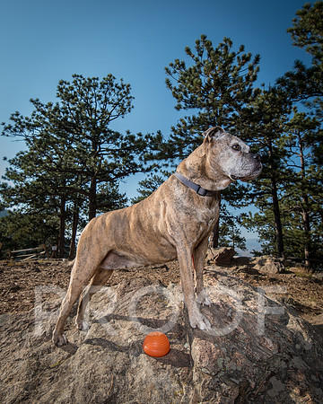 Bruskivage_2019_10_03-0008