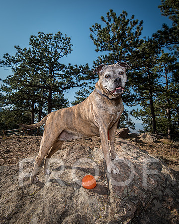 Bruskivage_2019_10_03-0009
