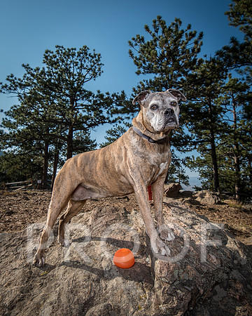 Bruskivage_2019_10_03-0010