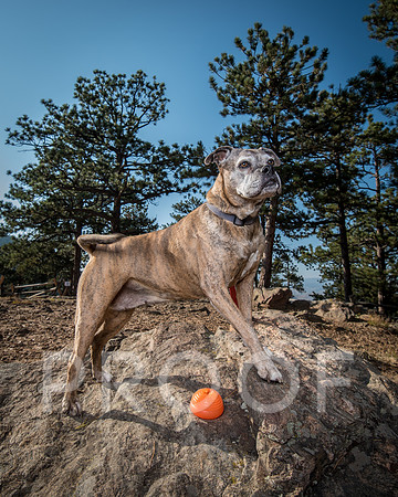 Bruskivage_2019_10_03-0012