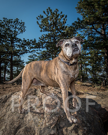 Bruskivage_2019_10_03-0014