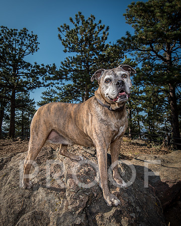 Bruskivage_2019_10_03-0015