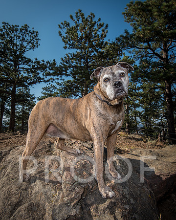 Bruskivage_2019_10_03-0017