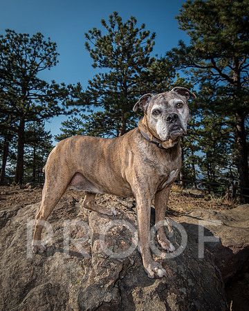 Bruskivage_2019_10_03-0018