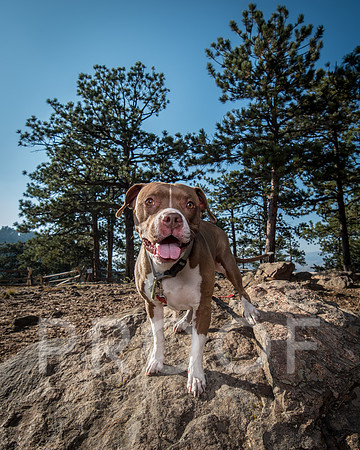 Bruskivage_2019_10_03-0022