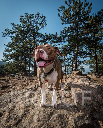 Bruskivage_2019_10_03-0024