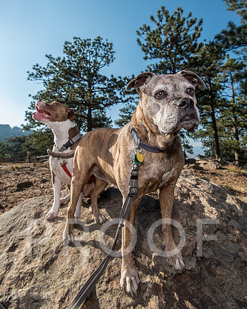 Bruskivage_2019_10_03-0025
