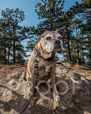 Bruskivage_2019_10_03-0026