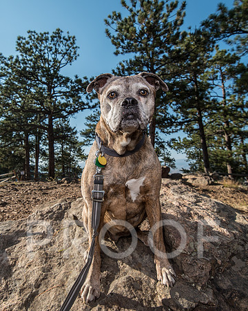 Bruskivage_2019_10_03-0027