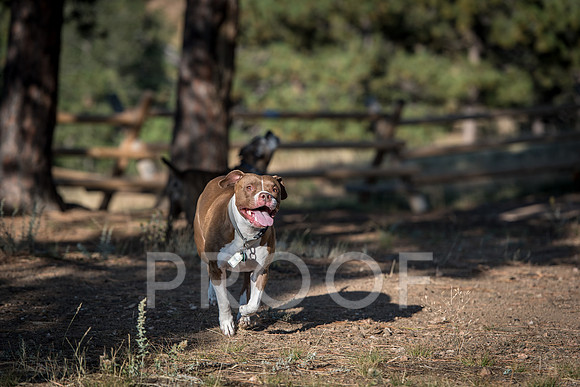 Bruskivage_2019_10_03-0028