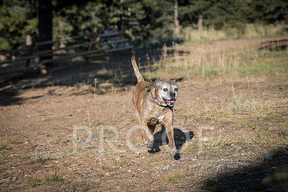 Bruskivage_2019_10_03-0034