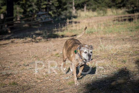 Bruskivage_2019_10_03-0035