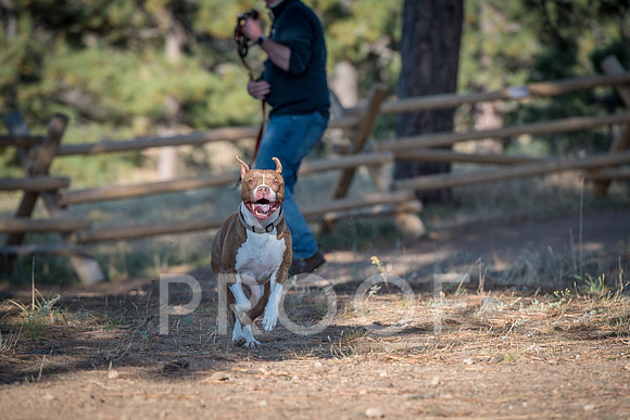 Bruskivage_2019_10_03-0040