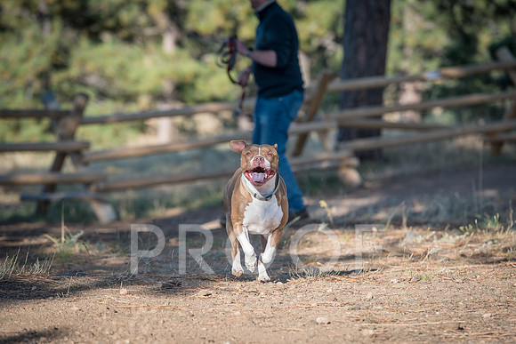 Bruskivage_2019_10_03-0041