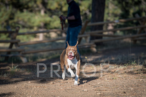 Bruskivage_2019_10_03-0042