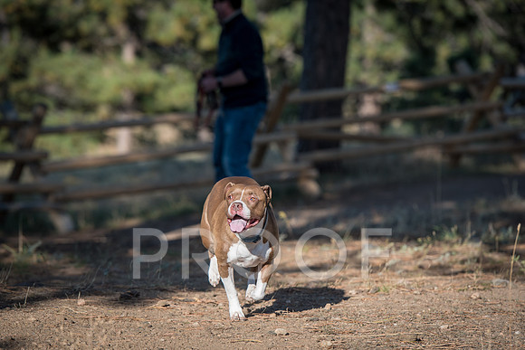 Bruskivage_2019_10_03-0043