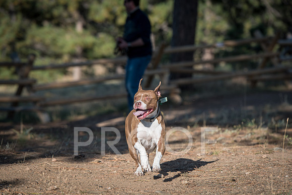 Bruskivage_2019_10_03-0044