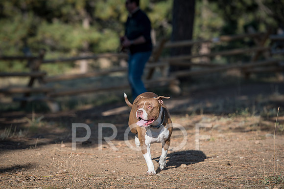 Bruskivage_2019_10_03-0045