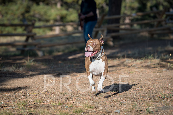 Bruskivage_2019_10_03-0046