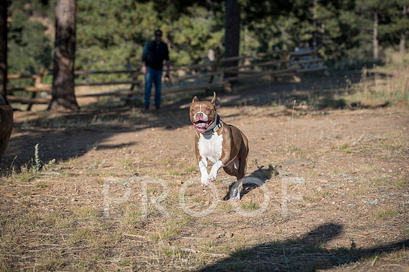 Bruskivage_2019_10_03-0047