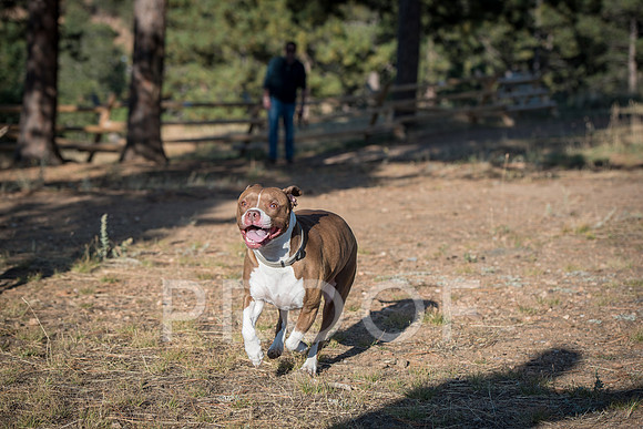 Bruskivage_2019_10_03-0048