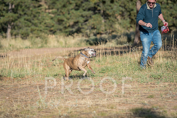 Bruskivage_2019_10_03-0055