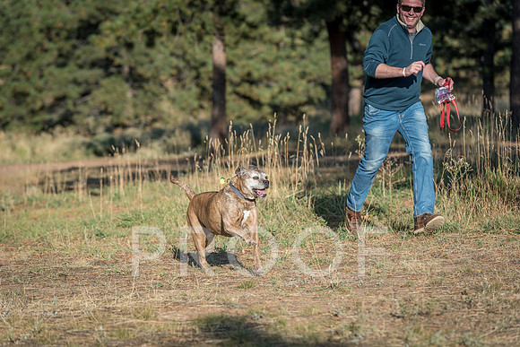 Bruskivage_2019_10_03-0056