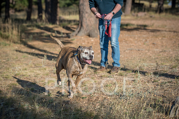 Bruskivage_2019_10_03-0057
