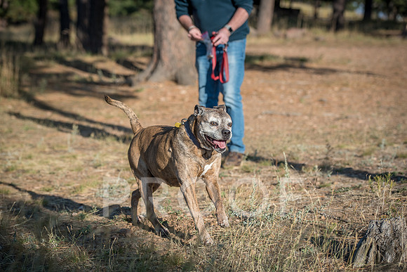 Bruskivage_2019_10_03-0058