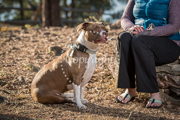 Bruskivage_2019_10_03-0068