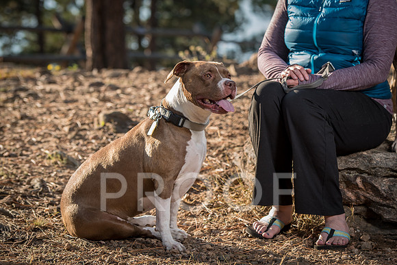 Bruskivage_2019_10_03-0069