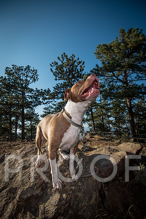 Bruskivage_2019_10_03-0070