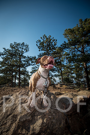 Bruskivage_2019_10_03-0071