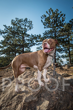Bruskivage_2019_10_03-0072