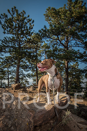 Bruskivage_2019_10_03-0073